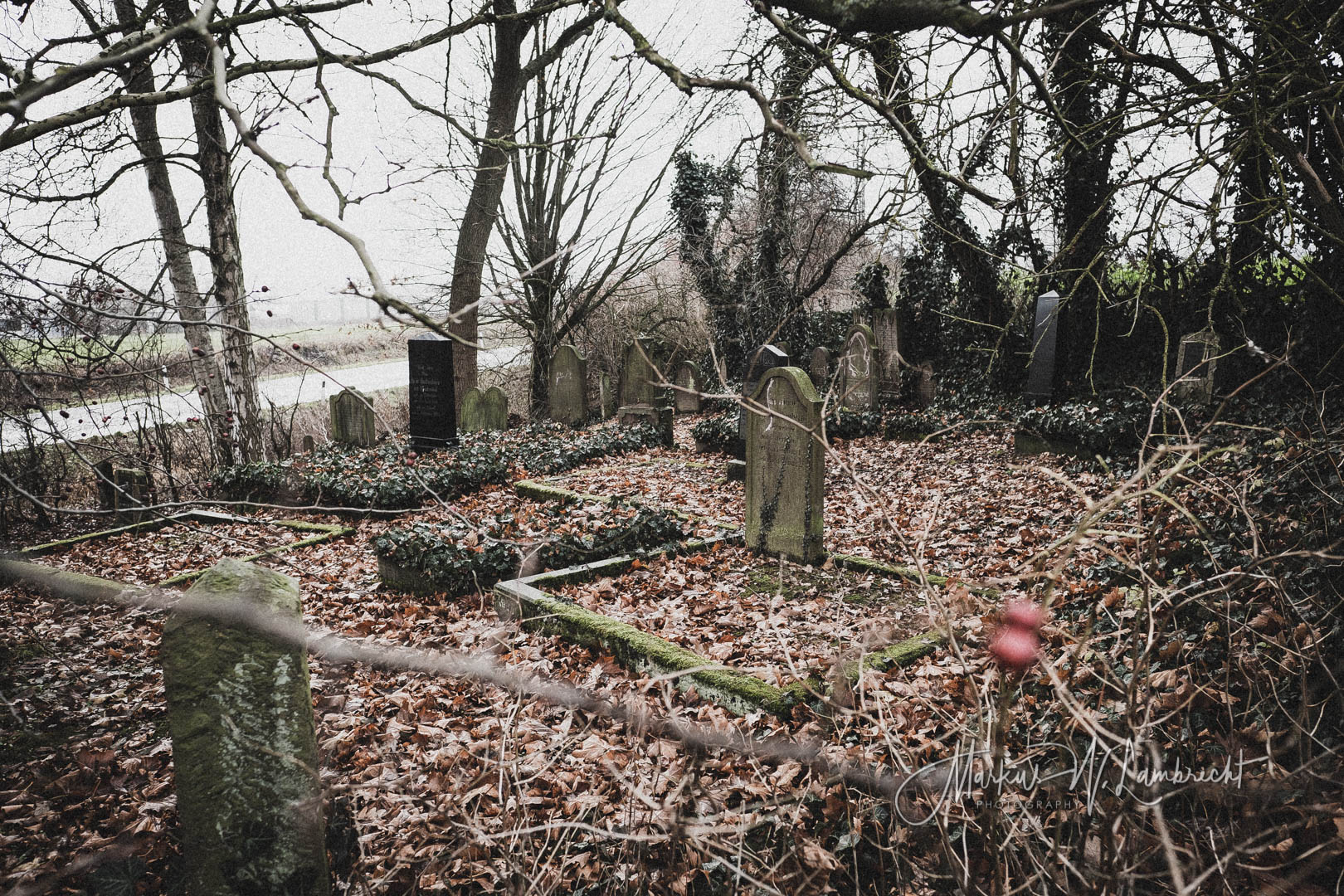 Dassel, Jüdischer Friedhof